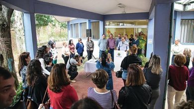 reforma da Emei Helena Musumeci