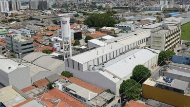 Dia Mundial do Macarrão