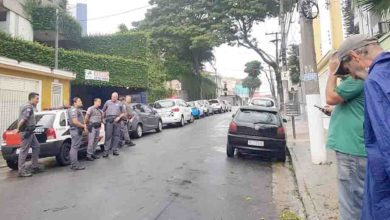 Corte ilegal de árvore flagrado na Vila Assunção