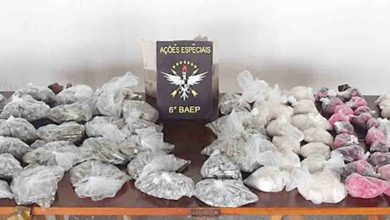 Baep "quebra" esquema do tráfico e apreende 7,8 mil porções de drogas