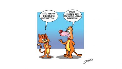 Pensata