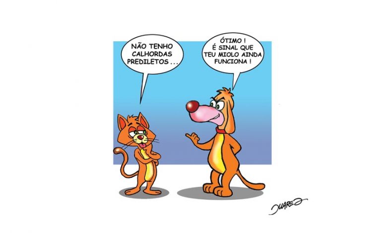 Pensata