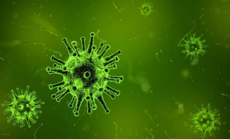 virus-1812092_1280.jpg