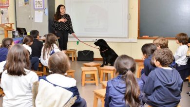 bem-estar animal nas escolas.jpg