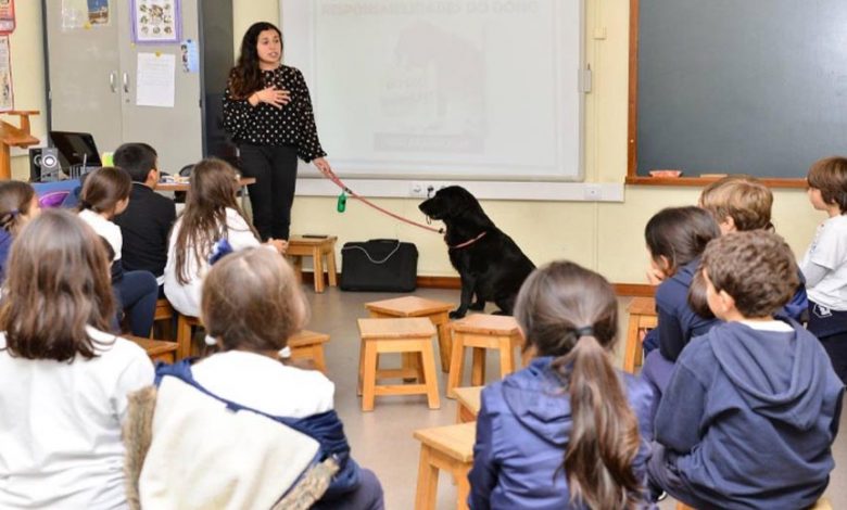 bem-estar animal nas escolas.jpg
