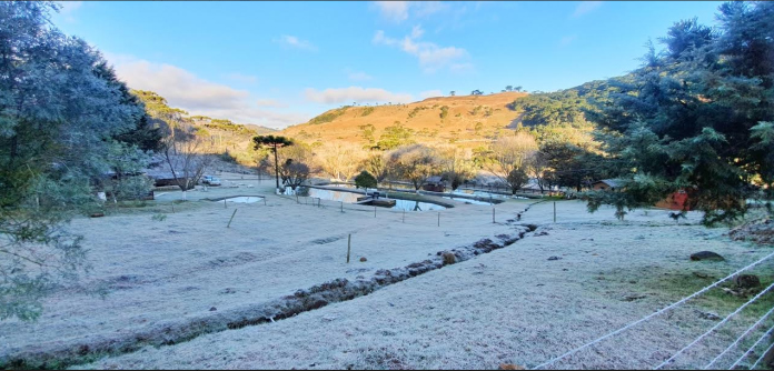 Geada em Santa Catarina