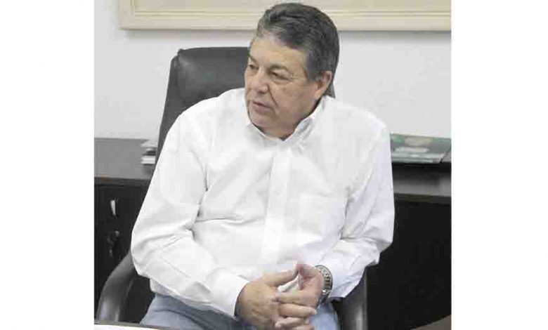 Azulão