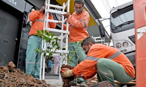 Plantio de árvores - Alameda Vieira de Carvalho - Foto - Angelo Baima_PSA (1)
