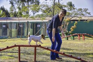 Lua de mel em Brotas: