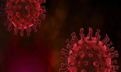 Covid-19: Sobreviventes produzem anticorpos que atacam o corpo