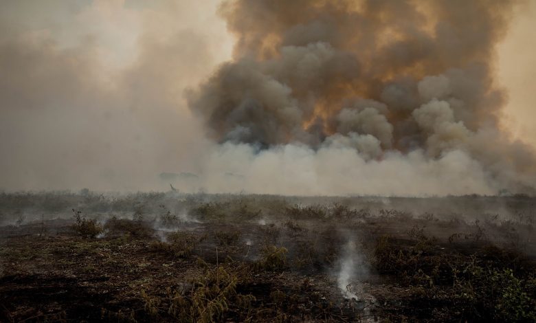 Incêndios no Pantanal