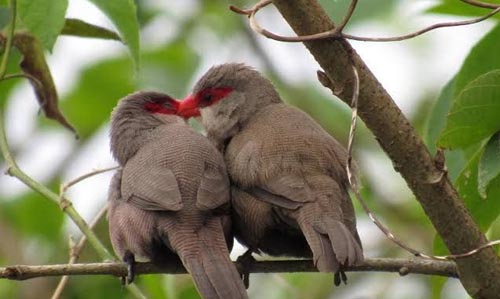 Crédito: Prefeitura Municipal de Ilhabela