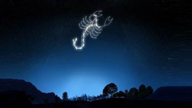 SIGNO DE ESCORPIÃO: CONHEÇA A PERSONALIDADE E TUDO MAIS QUE VOCÊ PRECISA SABER!