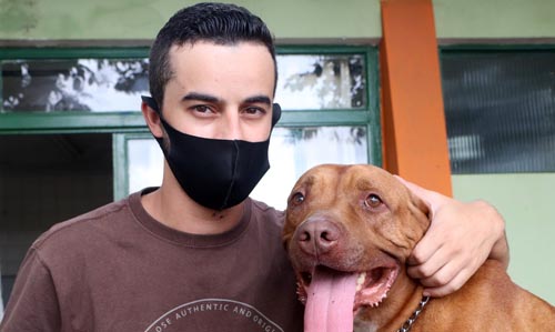 Pitbull Taz e Felipe Nunes - Foto - Helber Aggio_PSA