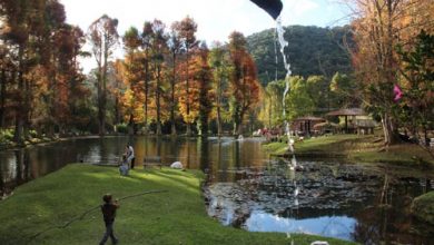 Santo Antônio do Pinhal (SP) Divulgação