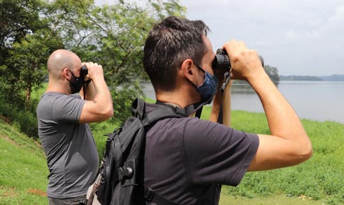 Monitoramento de aves aquáticas em Ribeirão Pires - Foto Gabriel Mazzo