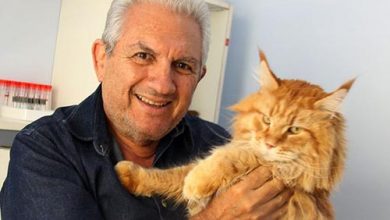 Ubiratan Figueiredo