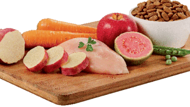 Dia da Saúde e Nutrição