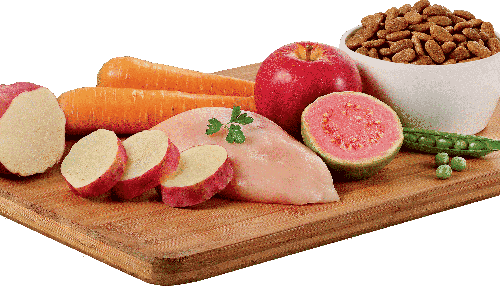 Dia da Saúde e Nutrição