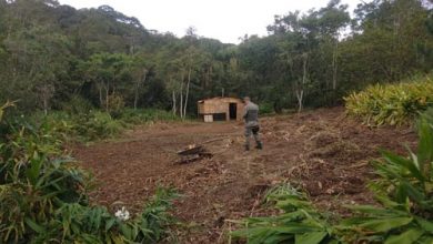 Guarda Ambiental