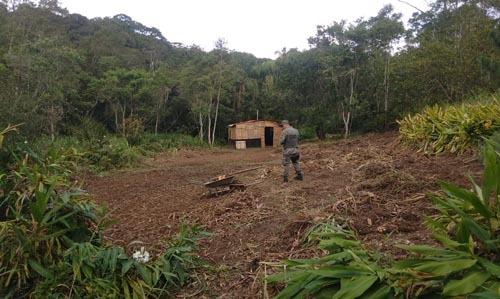 Guarda Ambiental