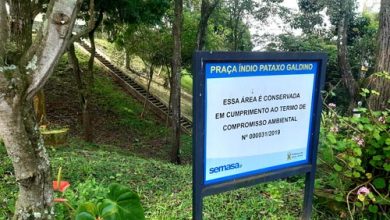 Plantio de árvores e praças compensações - CCS_23042021 (6)
