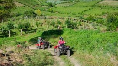 Passeio de quadriciclo pelo Vale dos Vinhedos Zéto Telóken