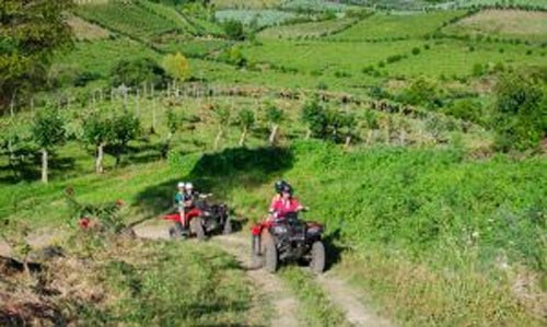 Passeio de quadriciclo pelo Vale dos Vinhedos Zéto Telóken