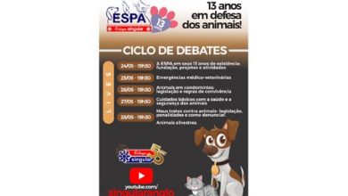 foto divulgação