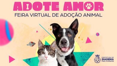 ADOTE_AMOR_arteprincipal
