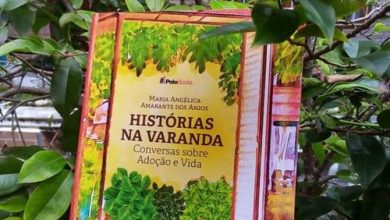Capa do livro. (Arquivo pessoal Angélica)