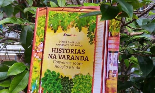 Capa do livro. (Arquivo pessoal Angélica)