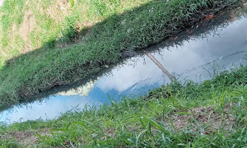 Fotos Depois - Córrego Bocaina (1)