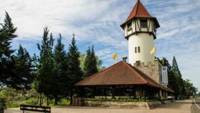 A charmosa Torre Medieval que recebe os visitantes de Nova Petrópolis