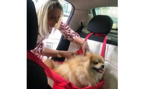 Chanelle Pet 