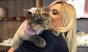 Chanelle Pet 