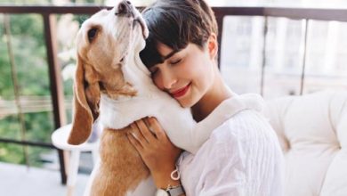 DOENÇAS DERMATOLÓGICAS EM SEU PET