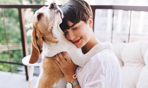 DOENÇAS DERMATOLÓGICAS EM SEU PET