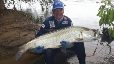 PESCA DE PIRAÍBAS E TARPONS