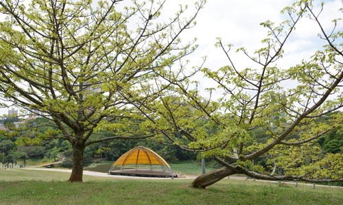 Parque Central - Foto - Helber