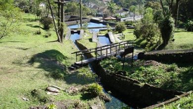 Parque Municipal Nascentes de Paranapiacaba