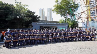 divulgação