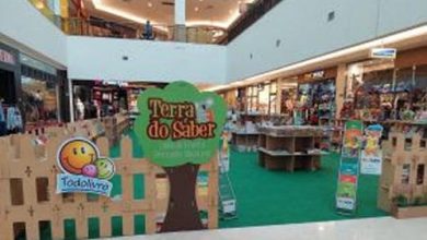 Feira do Livro Terra do Saber