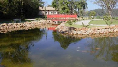 revitalizando lago do Parque Oriental