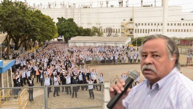 Greve