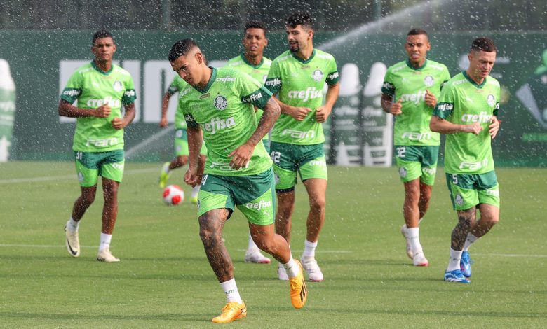 Melhor campanha na classificação geral, Palmeiras treina forte para as quartas de final do Paulistão – crédito Foto Fabio Menotti Palmeiras by Canon