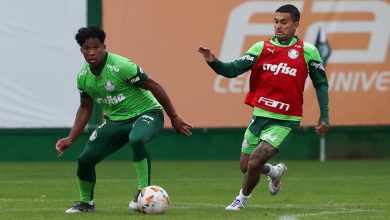 Endrick faz último jogo antes de ir para o Real Madrid e Dudu está em fase final de tratamento, já treinando - Crédito: Cesar Greco/Palmeiras/by Canon