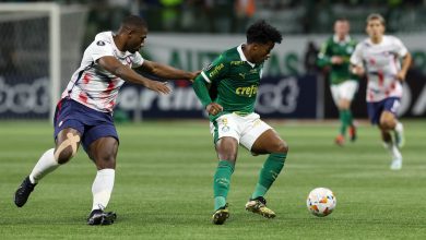 Endrick se despede em jogo em que o Palmeiras não conseguiu impor um futebol criativo - Crédito: Foto: Cesar Greco/Palmeiras/by Canon