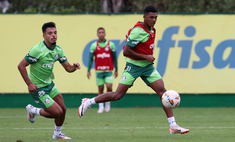 Luis Guilherme exalta e pede o apoio da torcida para sair com a melhor campanha geral da fase de grupos - Crédito: Cesar Greco/Palmeiras/by Canon