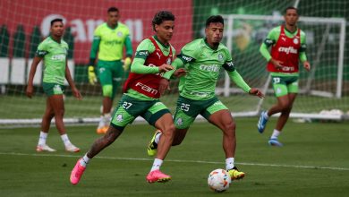 Elenco treinou ontem (14) e Abel Ferreira fará um trabalho leve hoje (15) pela manhã com os titulares - Crédito: Cesar Greco/Palmeiras/by Canon